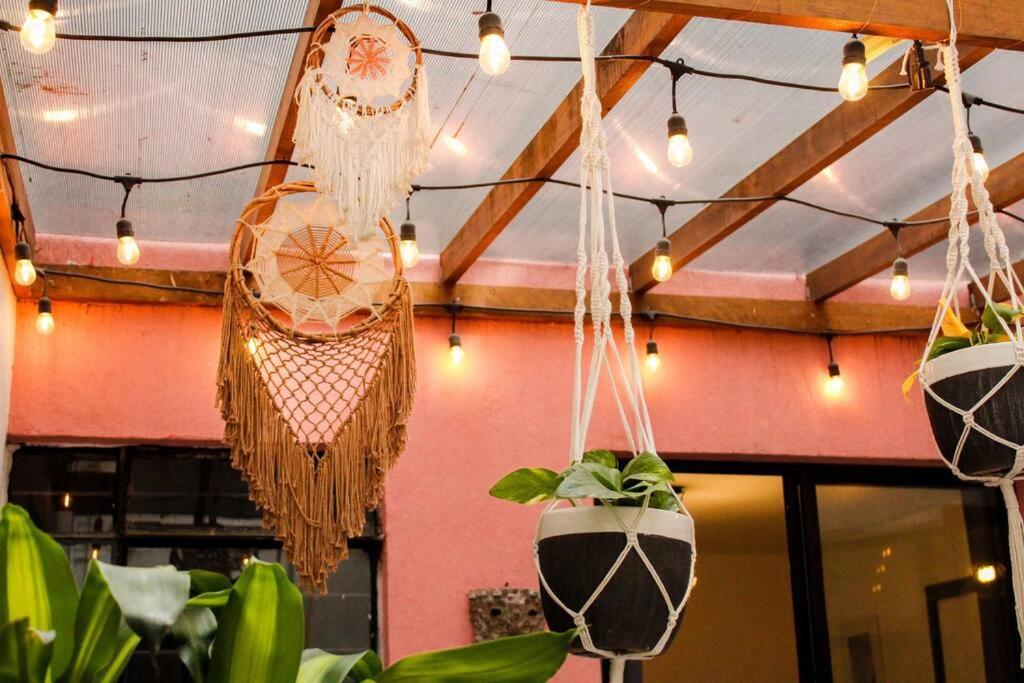 New Mex Inspired Bo-Ho Chic Apartment With Private Patio And Roof Terrace Meksika Dış mekan fotoğraf