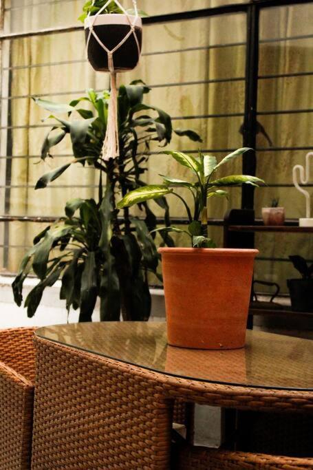 New Mex Inspired Bo-Ho Chic Apartment With Private Patio And Roof Terrace Meksika Dış mekan fotoğraf