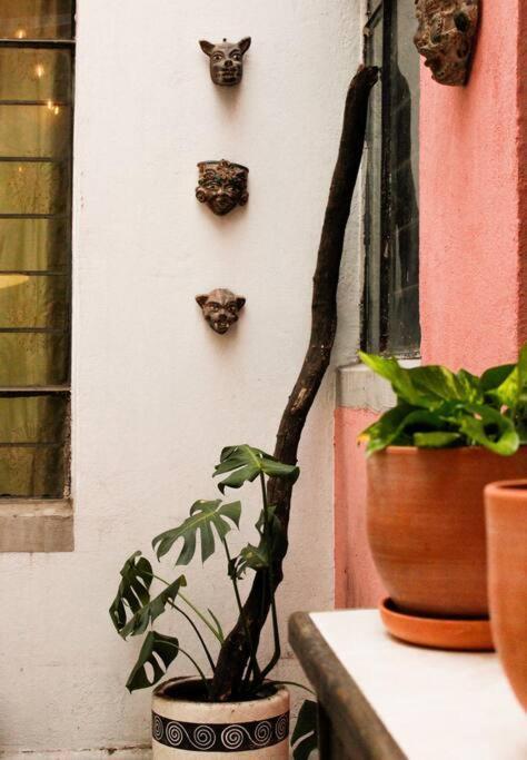 New Mex Inspired Bo-Ho Chic Apartment With Private Patio And Roof Terrace Meksika Dış mekan fotoğraf